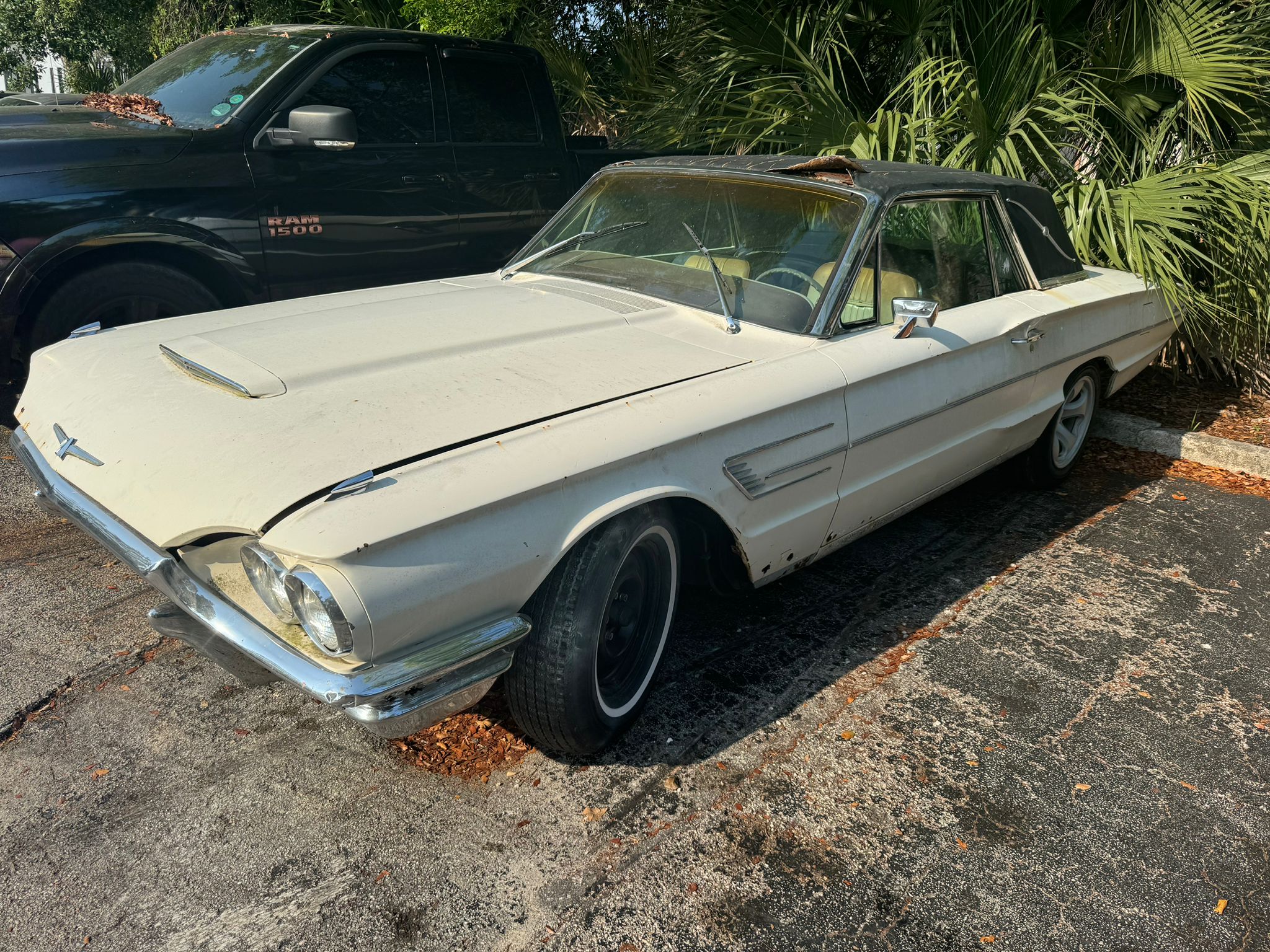sell my junk car for cash old vehicle parked in Central Florida ready for pickup