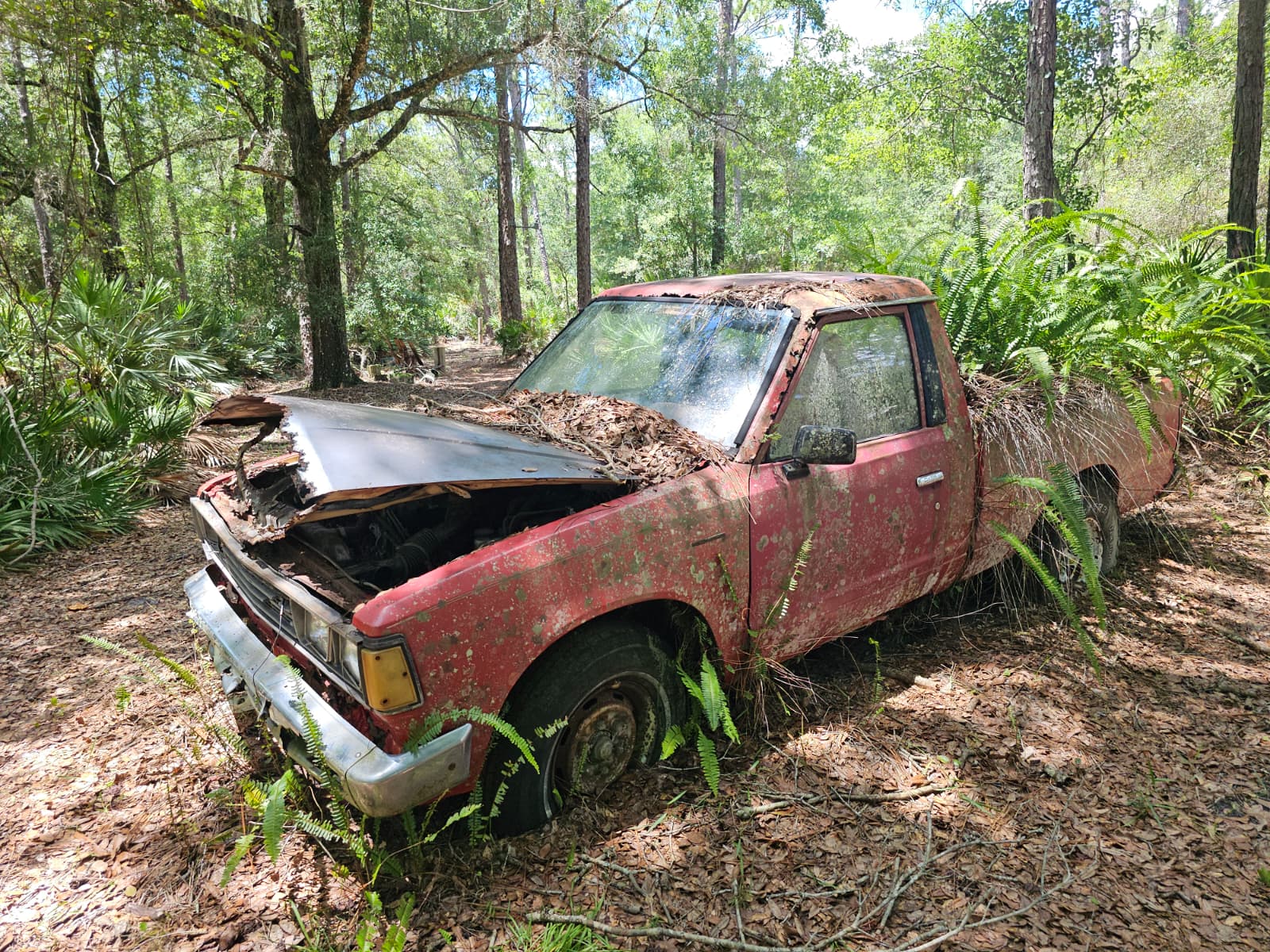 Top cash for junk cars pickup in Palm Bay